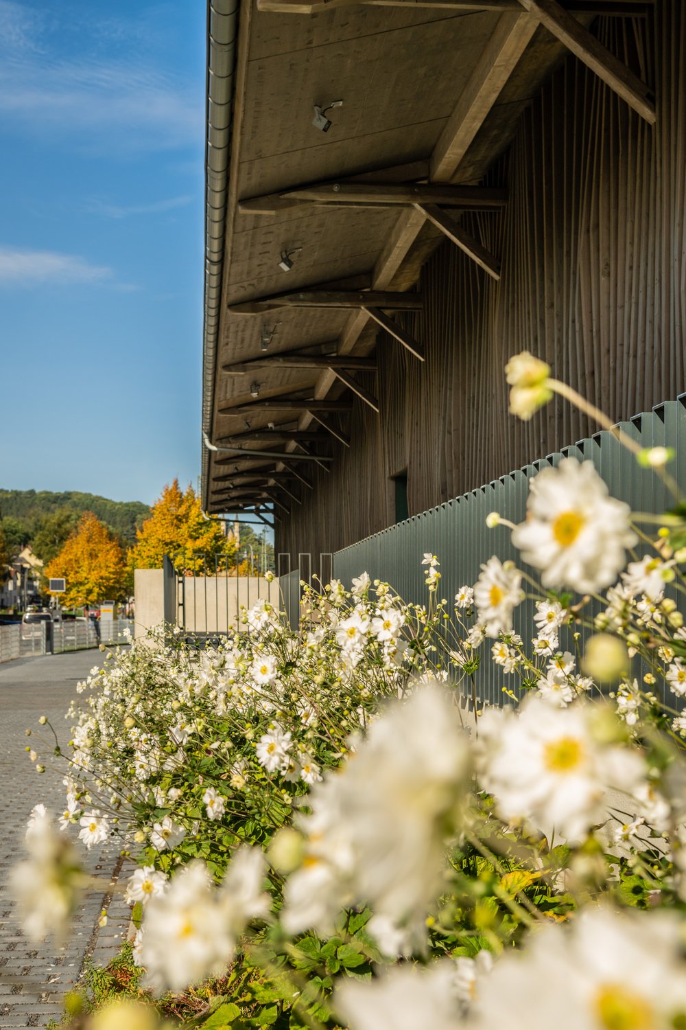 Güterbahnhof Remagen-2022-013.jpg