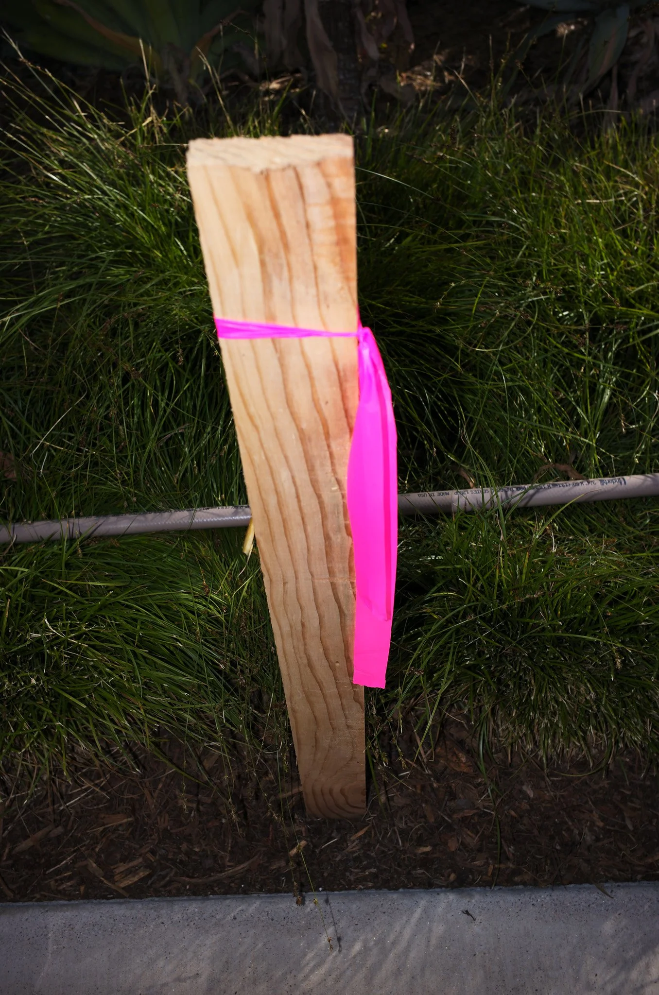 L1008044.jpg