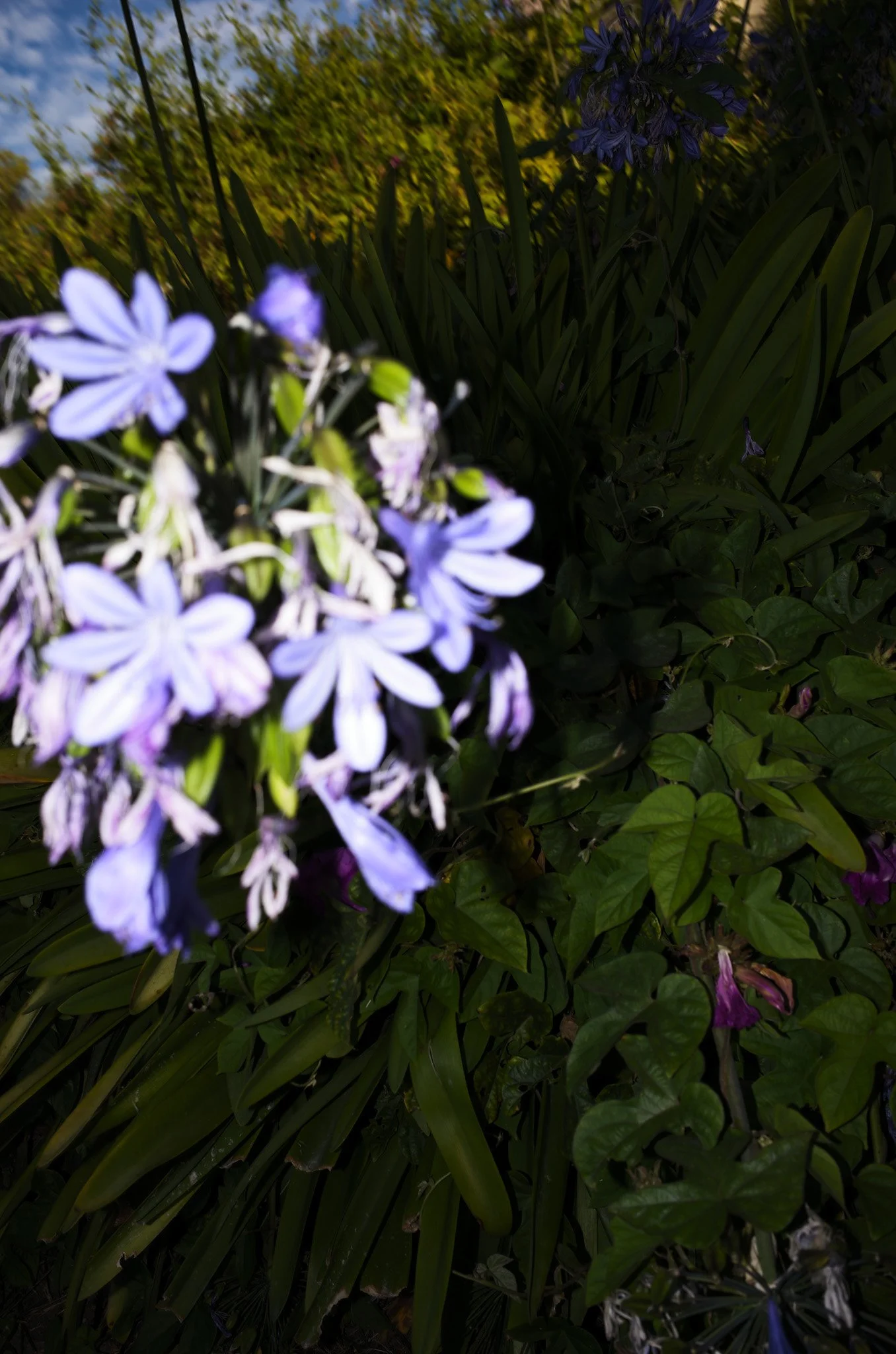 L1008154.jpg