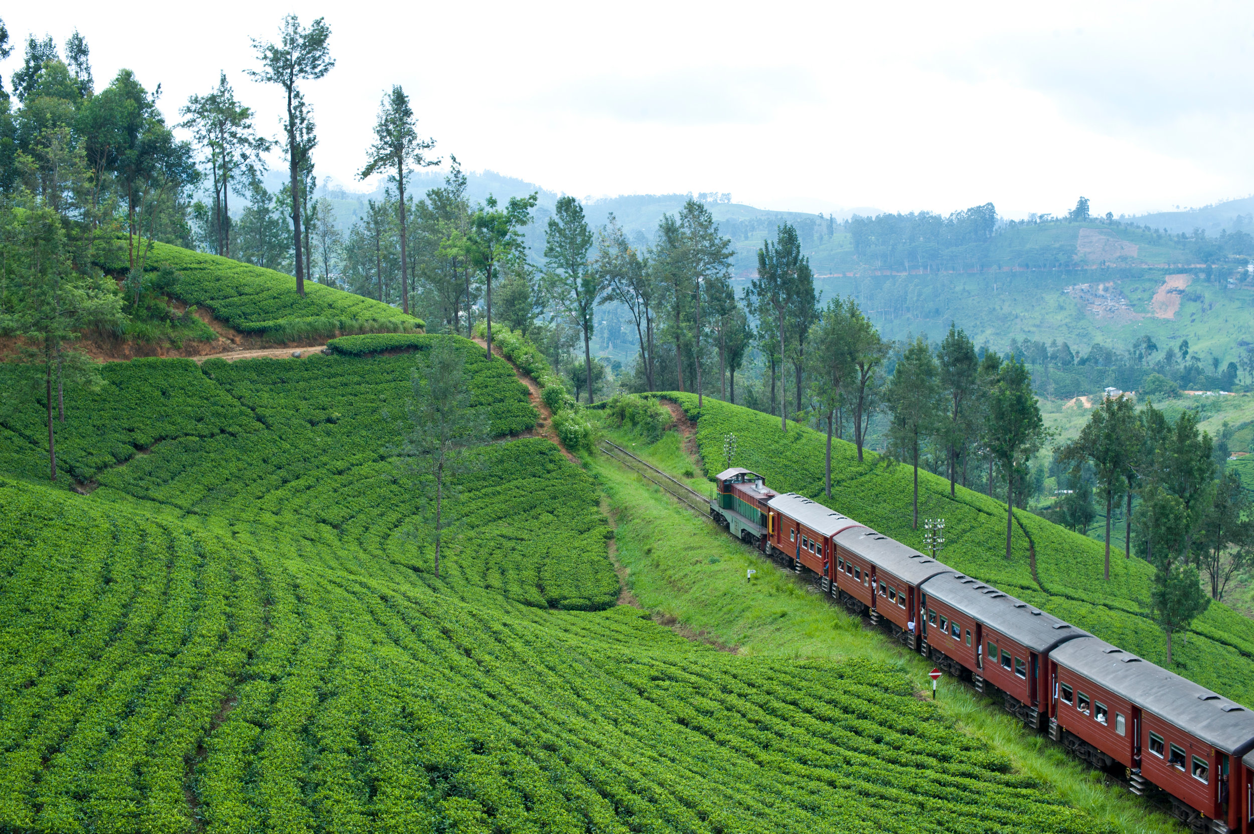 Train journey through tea plantations in Sri Lanka
