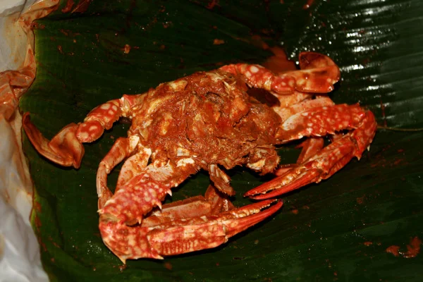 The famous crab curry from the Mayura Hotel located on Sri Kathiresan Street. It's reputed to be as good as the crab curry found at the upmarket Ministry of Crab in Colombo Fort and at a small fraction of that price. Bear in mind that a "hotel" in Sri Lanka traditionally refers to a small roadside diner so you know what you're in for! Photo credit: YAMU