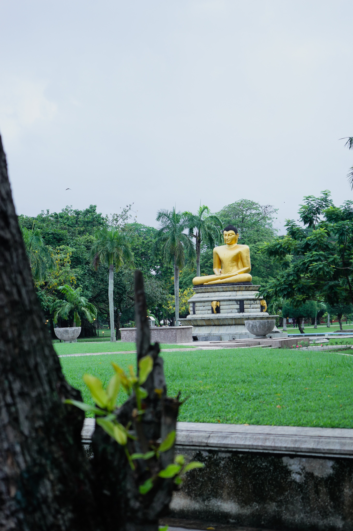 Buddha statue at Viharamahadevi Park