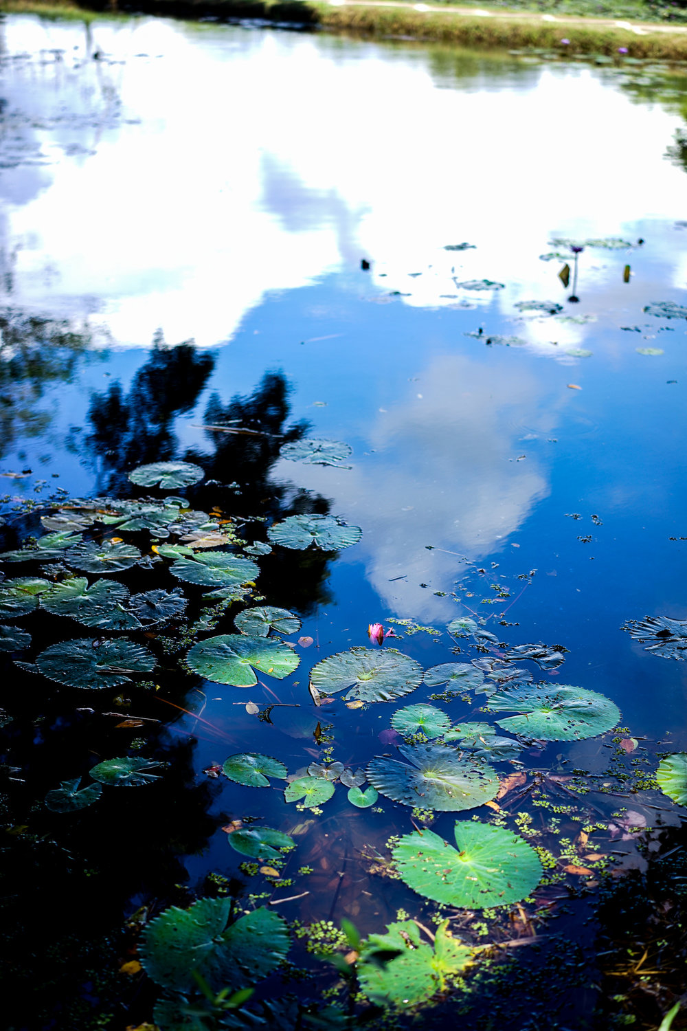 Lunuganga Garden - Geoffrey Bawa