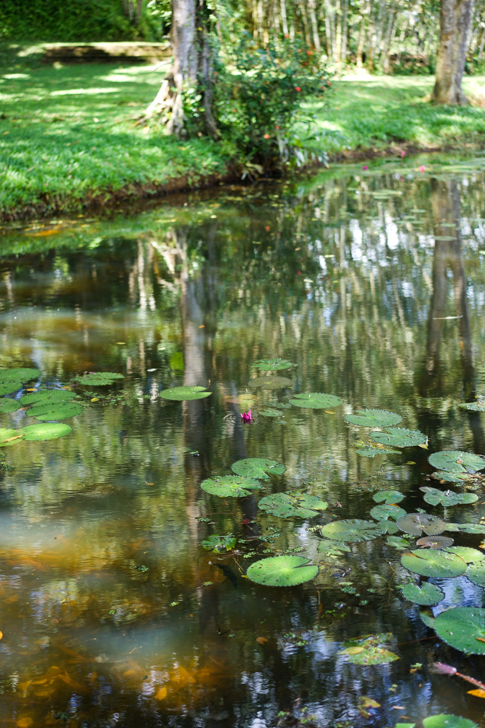 Lunuganga Garden - Geoffrey Bawa