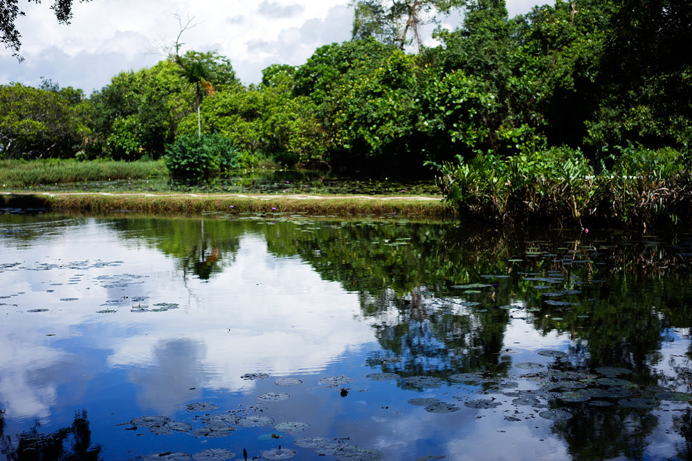 Lunuganga Garden - Geoffrey Bawa