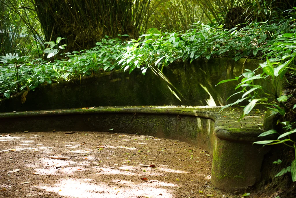 An intimate seat near the bamboo clusters in the forested section of the garden