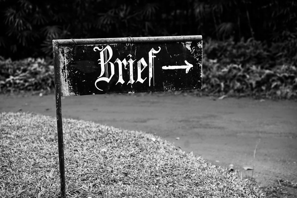 The Brief garden by Bevis Bawa