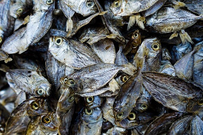 Dried fish at Pettah, Colombo