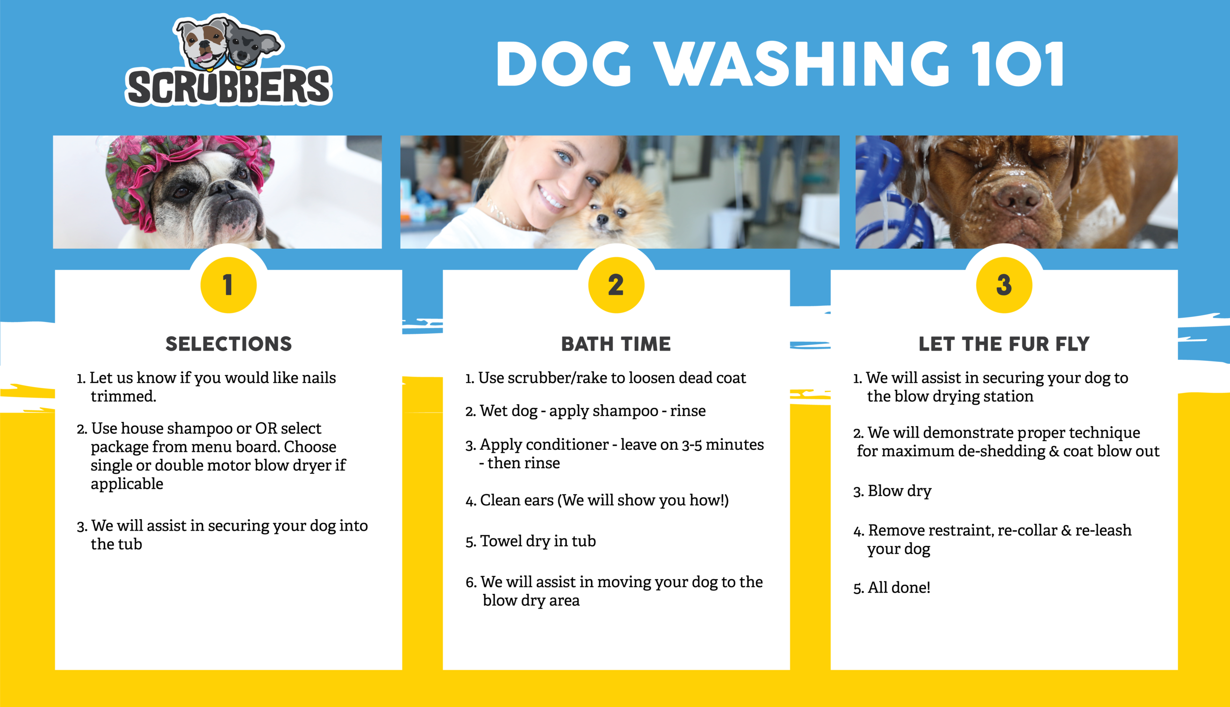 self dog wash business plan