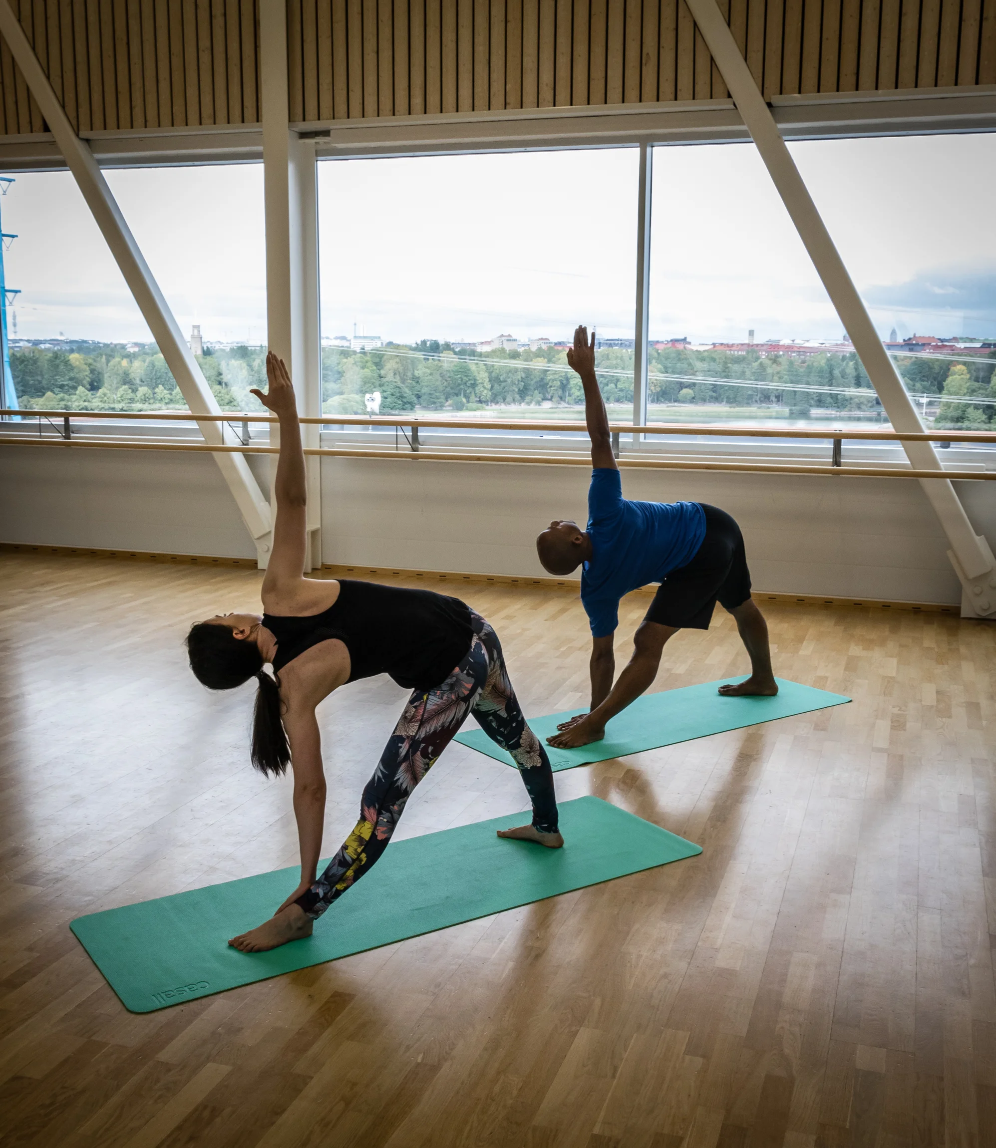 Yoga for everyone 2 (Copy)