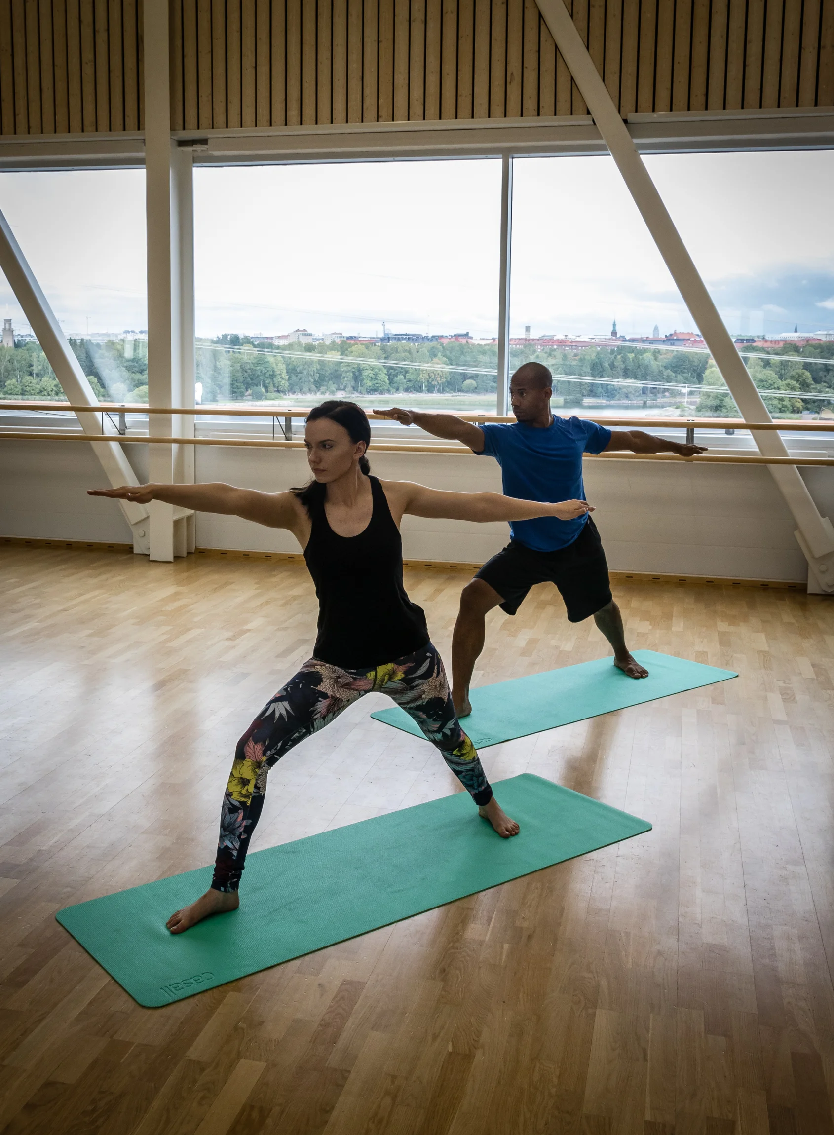 Yoga for everyone 5 (Copy)
