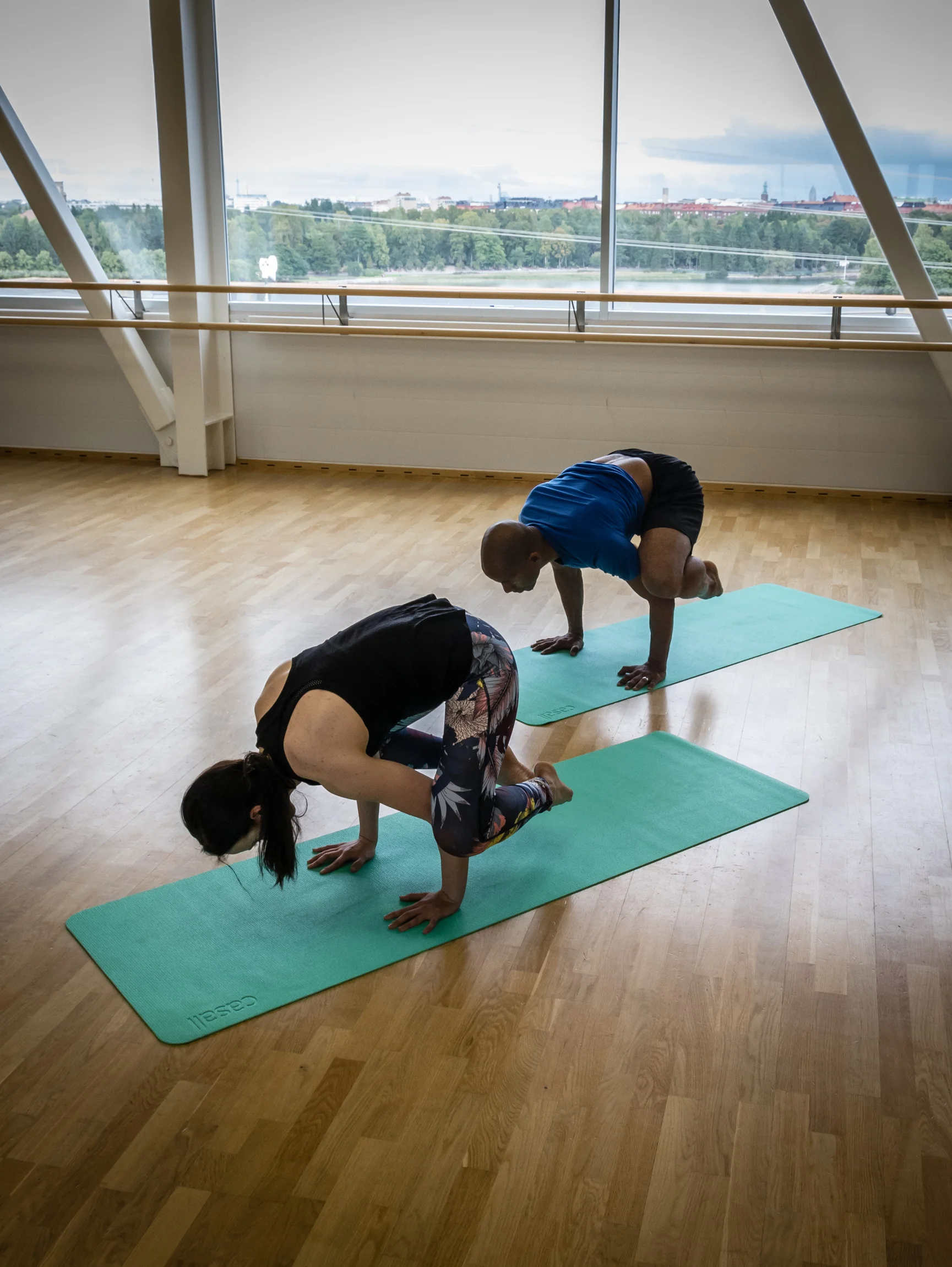 Advanced yoga 4 (Copy)