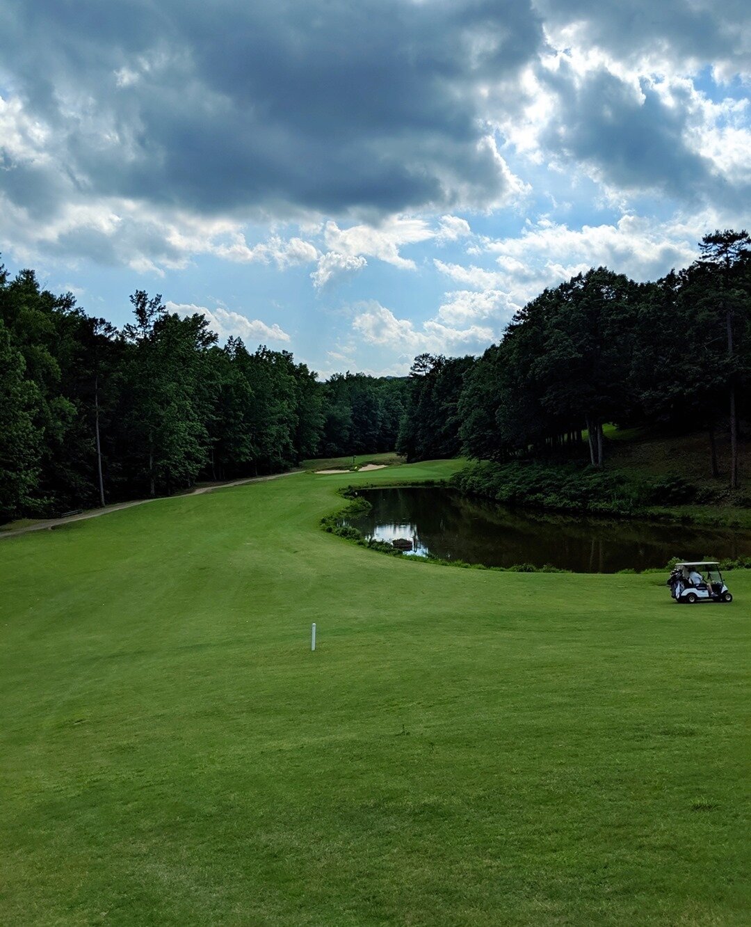 Wednesdays are for golf. ⛳