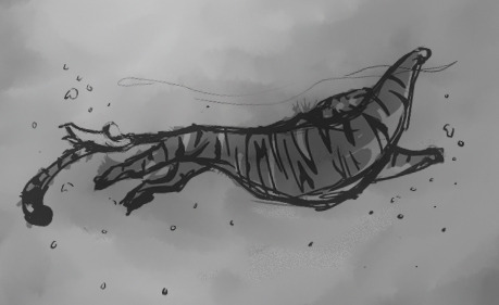 Tiger sketch