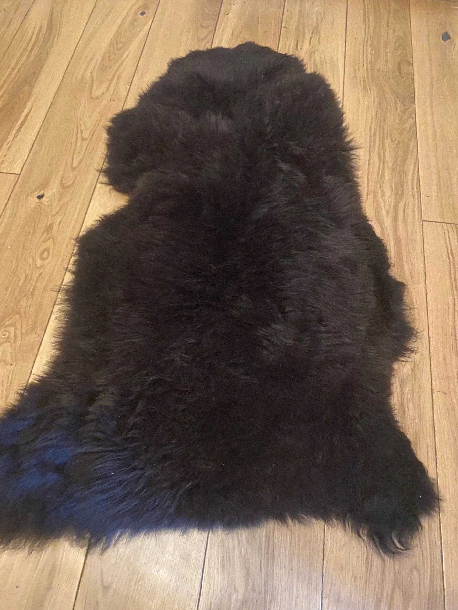 02CCDBDB-BFAE-4819-A788-9D5713B46ECB