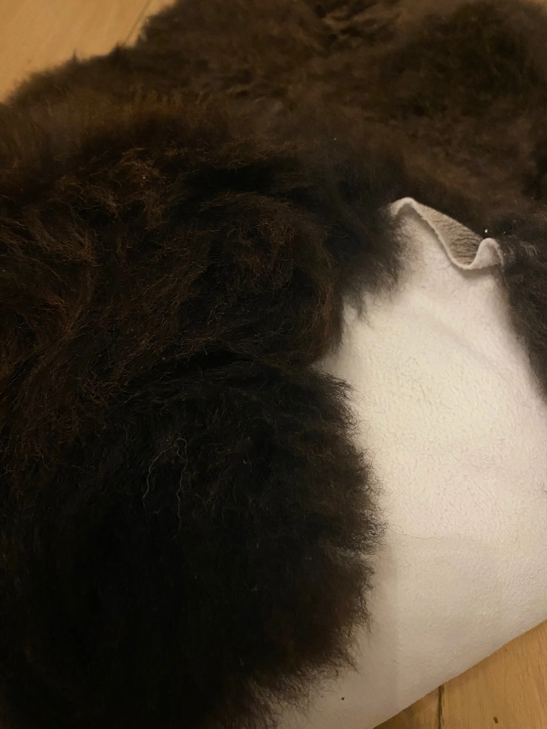 9C162E84-0E23-41AA-AAB1-A6E9CE4AC608