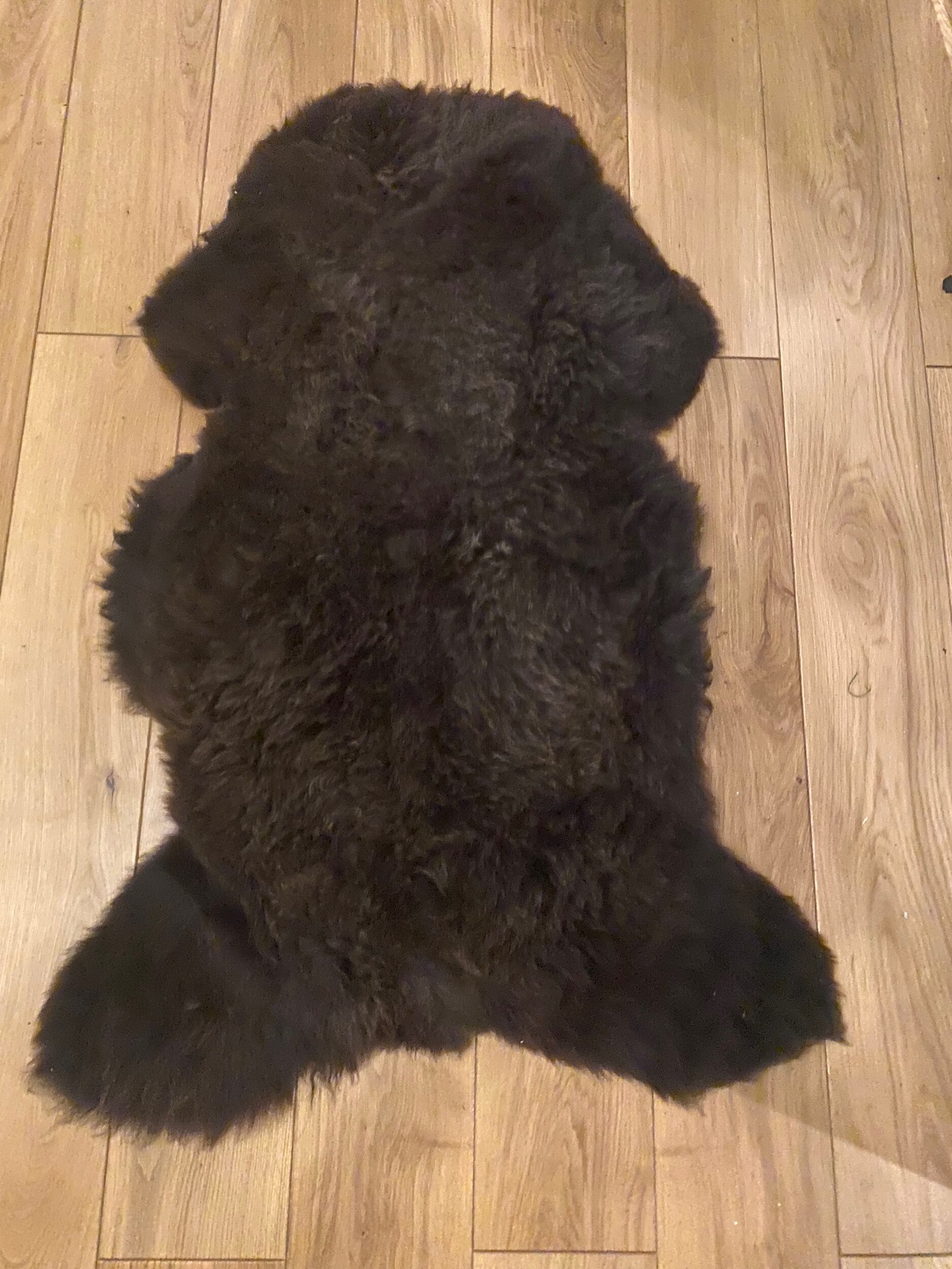 A3E759C0-9ED9-4F3B-8946-00818F097067