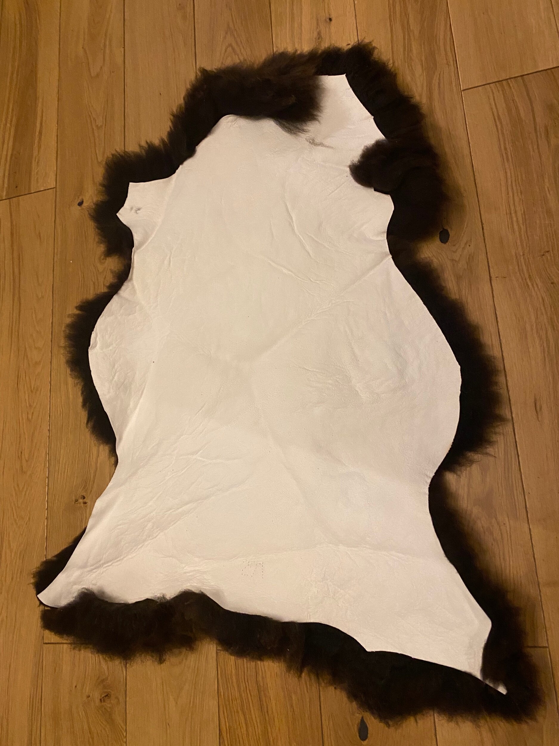 3FEA448F-C848-46D3-A1B1-42A1690A1FFD