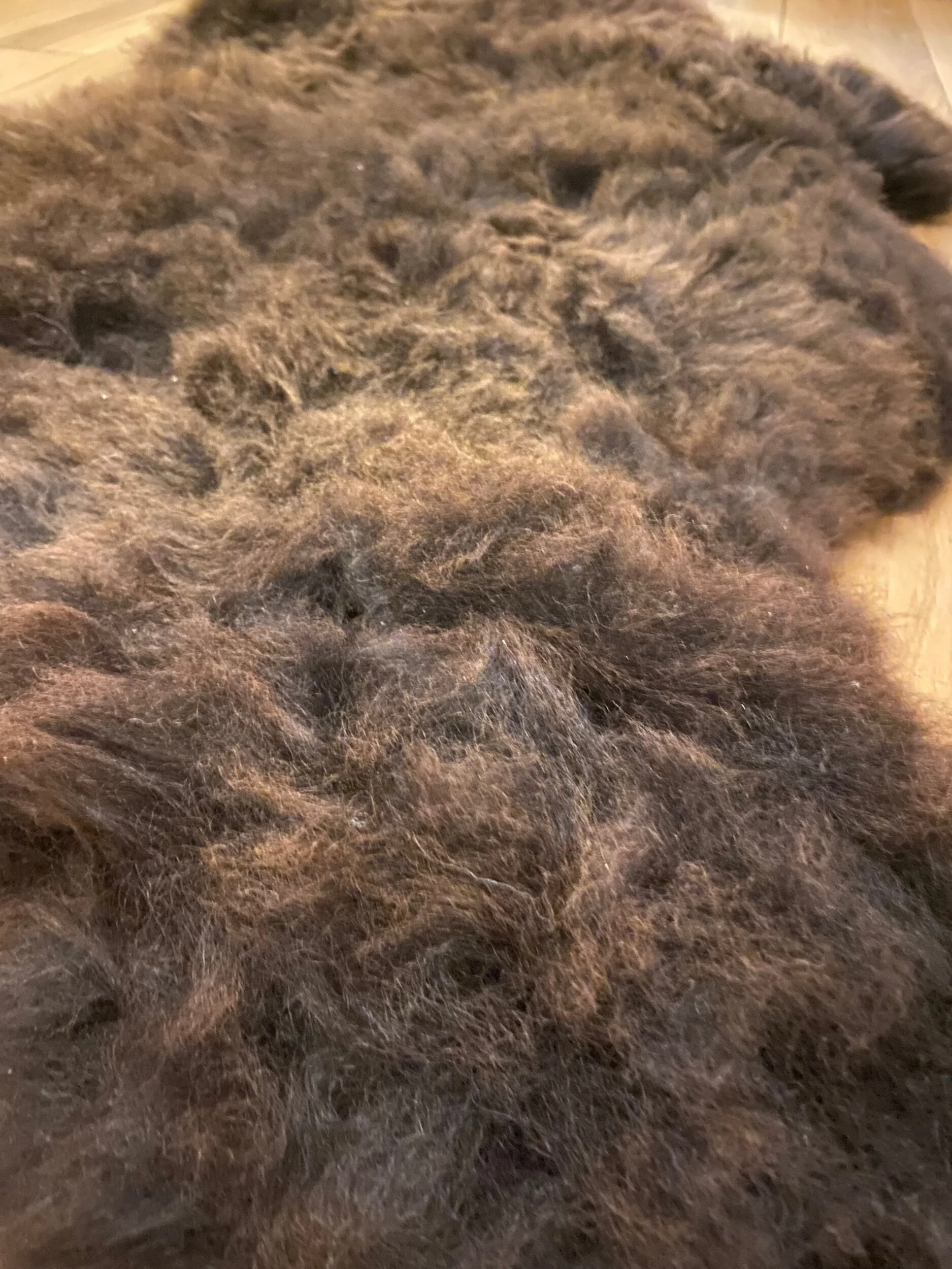 A00D4094-FBC8-406D-9003-9026BB61EFEB