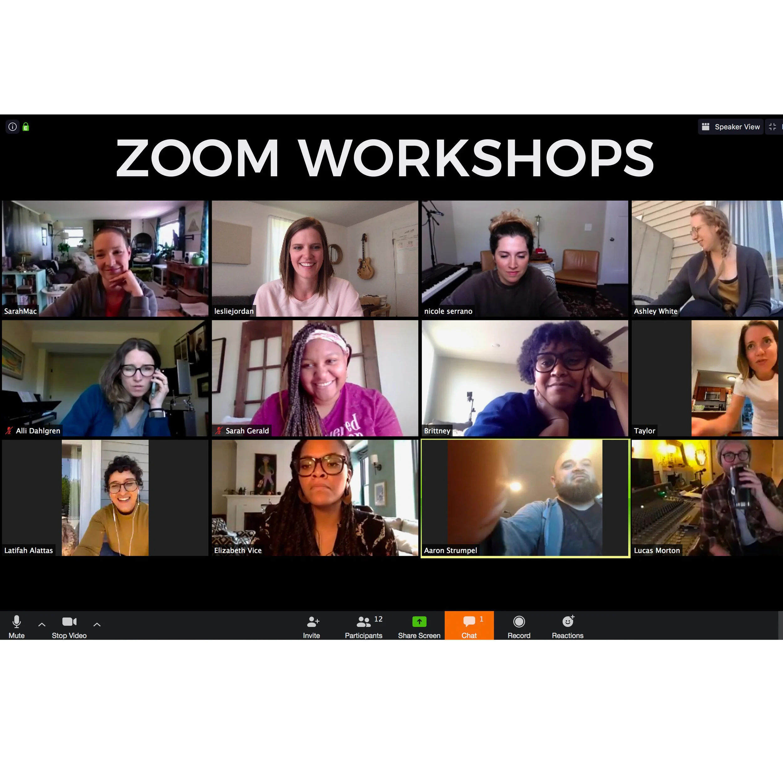 Zoom Workshops.jpg