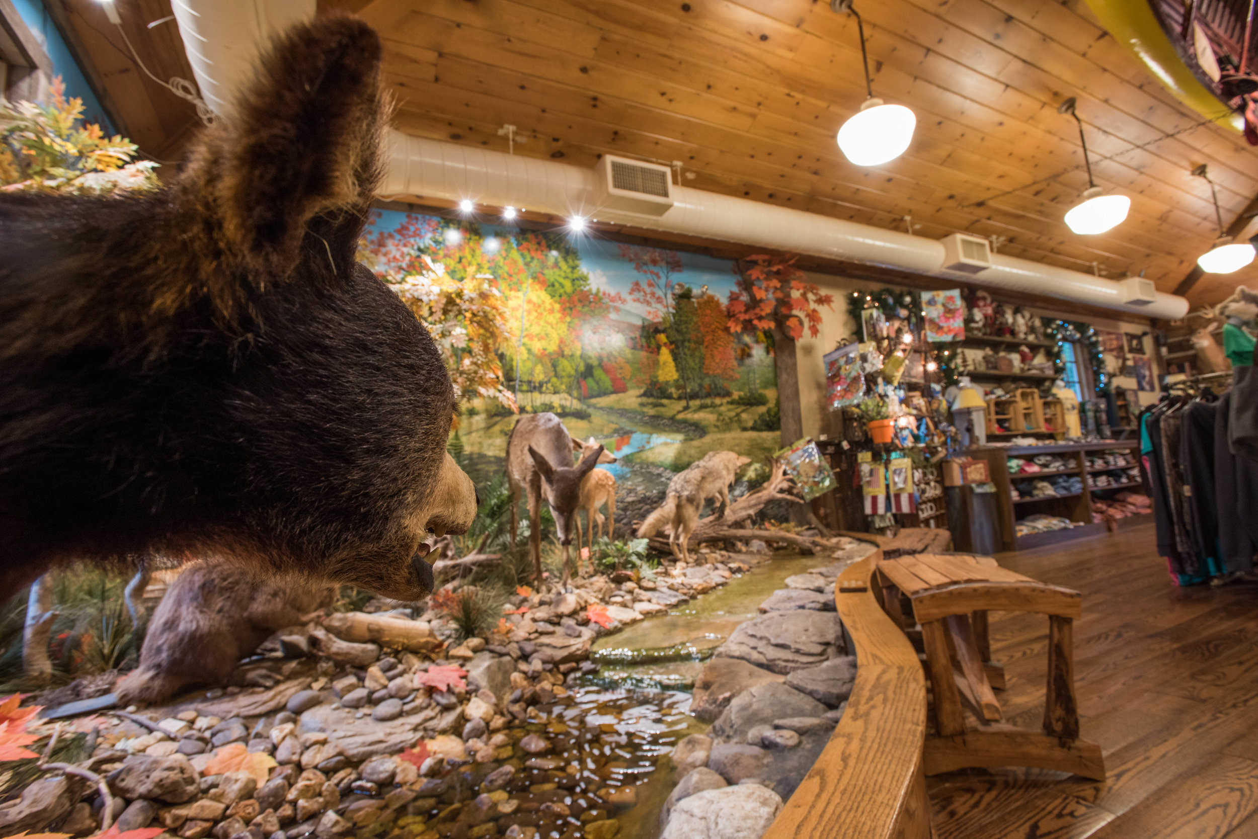 Paint Bank General Store