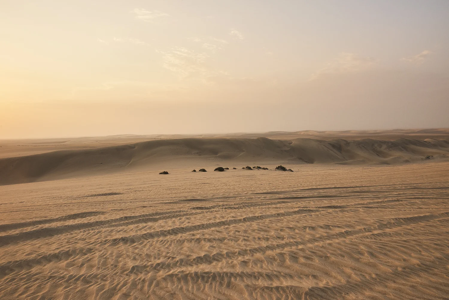 Qatar Capture_184.jpg