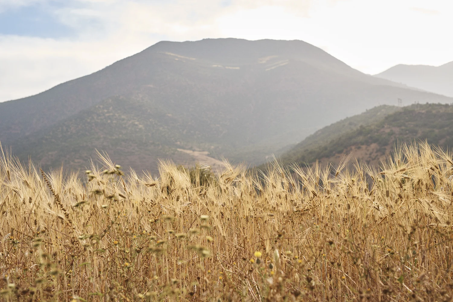 Morocco_DavidEdwards_Atlas 3.jpg