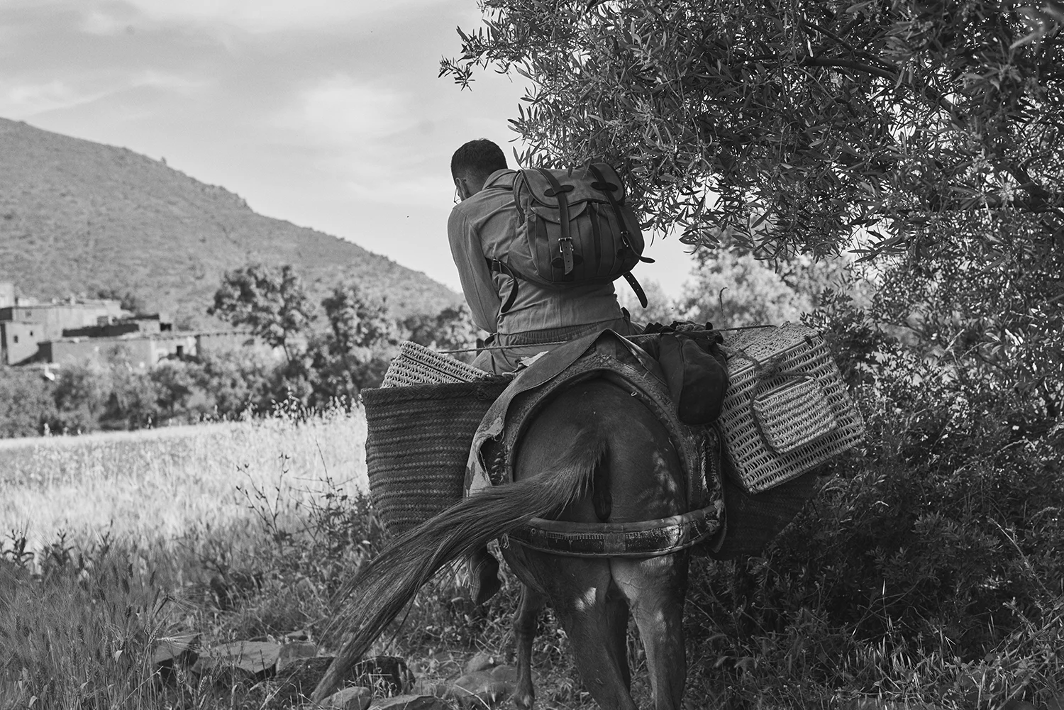 Morocco_DavidEdwards_Atlas 7.jpg