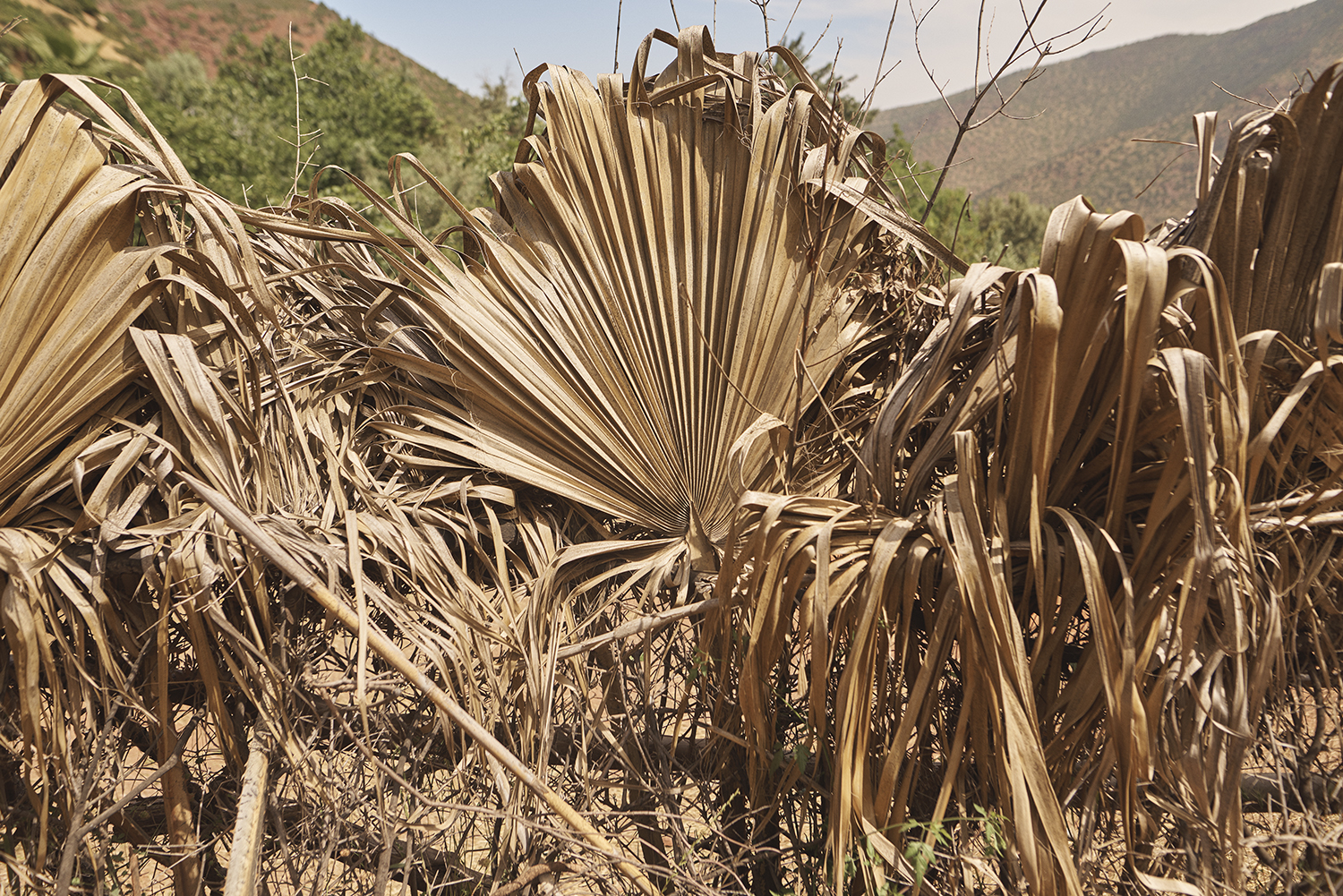 Morocco_DavidEdwards_Atlas 18.jpg