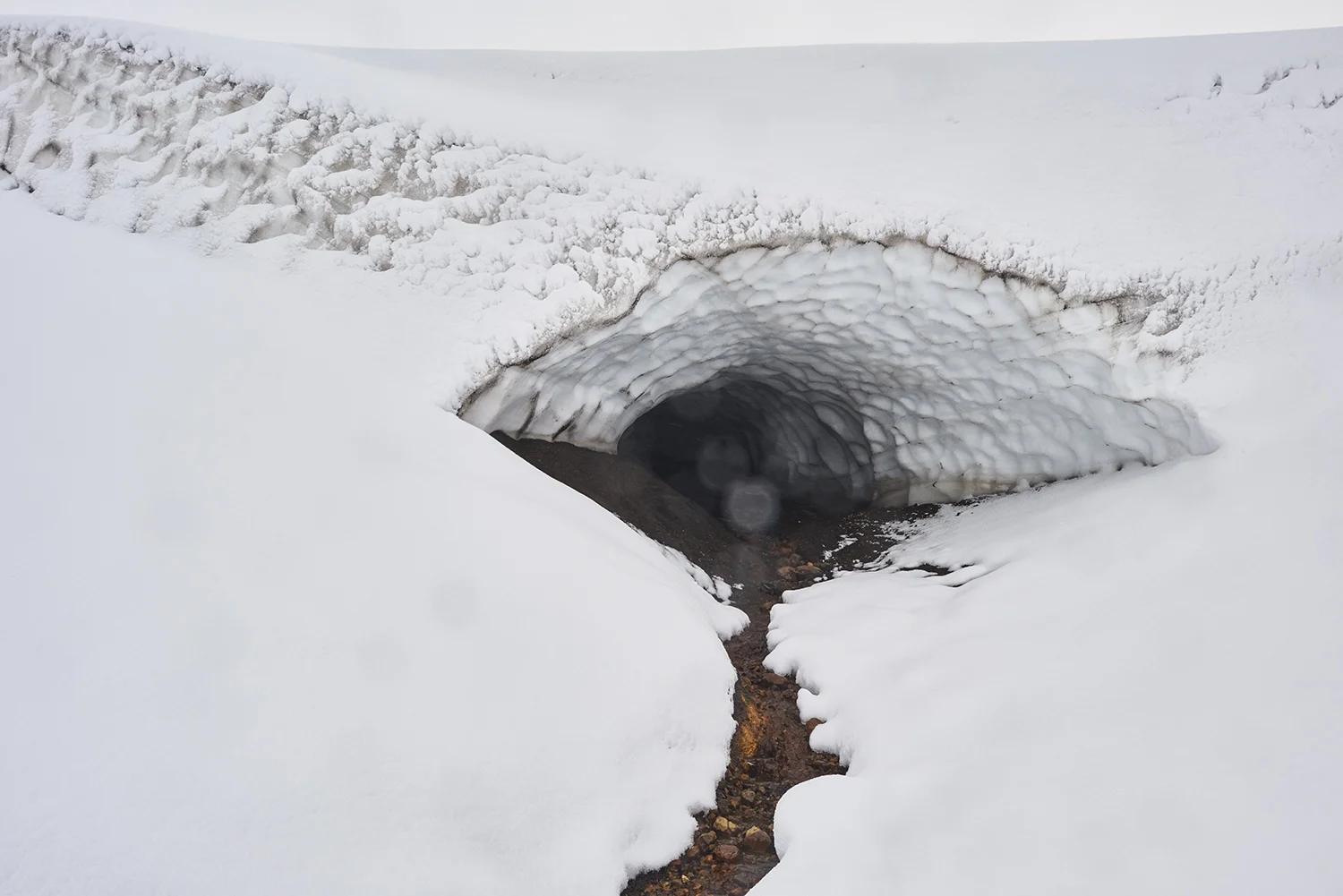 Laugavegur_Trail_David_Edwards 24.jpg