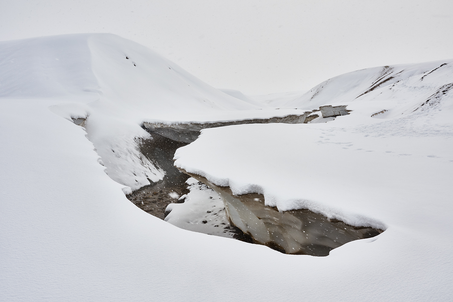 Laugavegur_Trail_David_Edwards 25.jpg