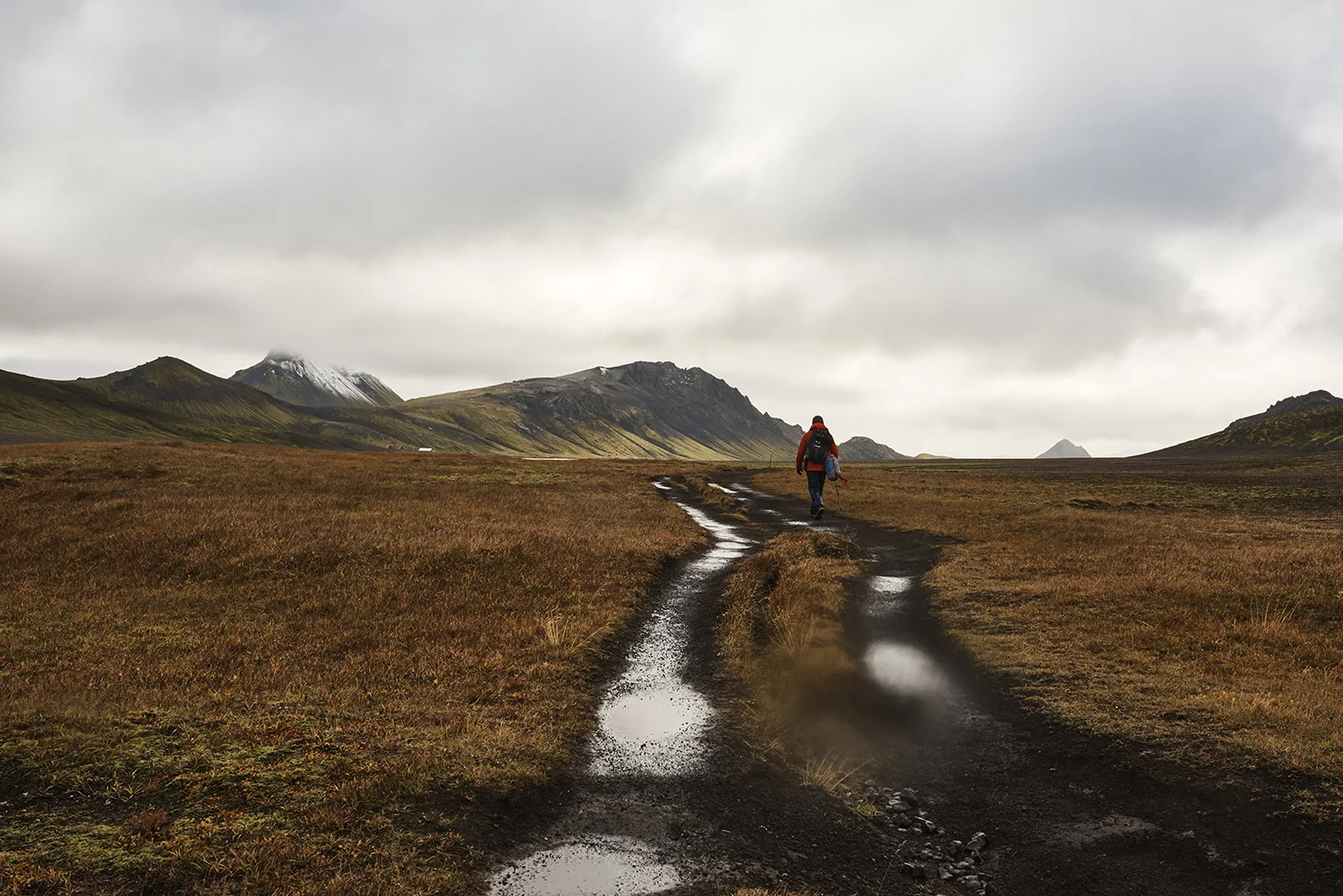 Laugavegur_Trail_David_Edwards 41.jpg