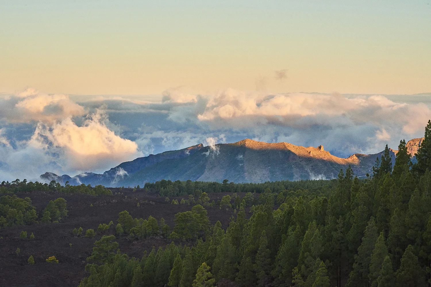 Tenerife_David_Edwards 4.jpg