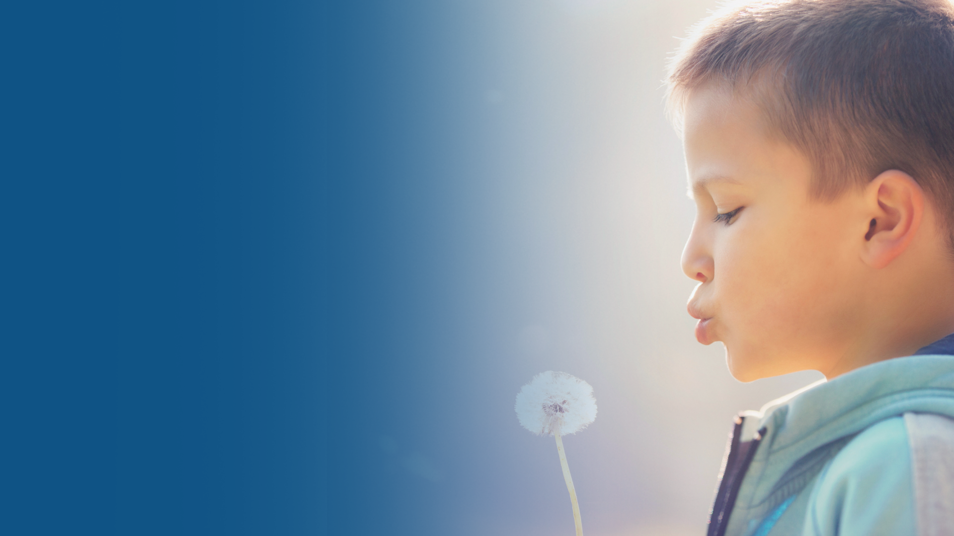 Website banners 2026g.png