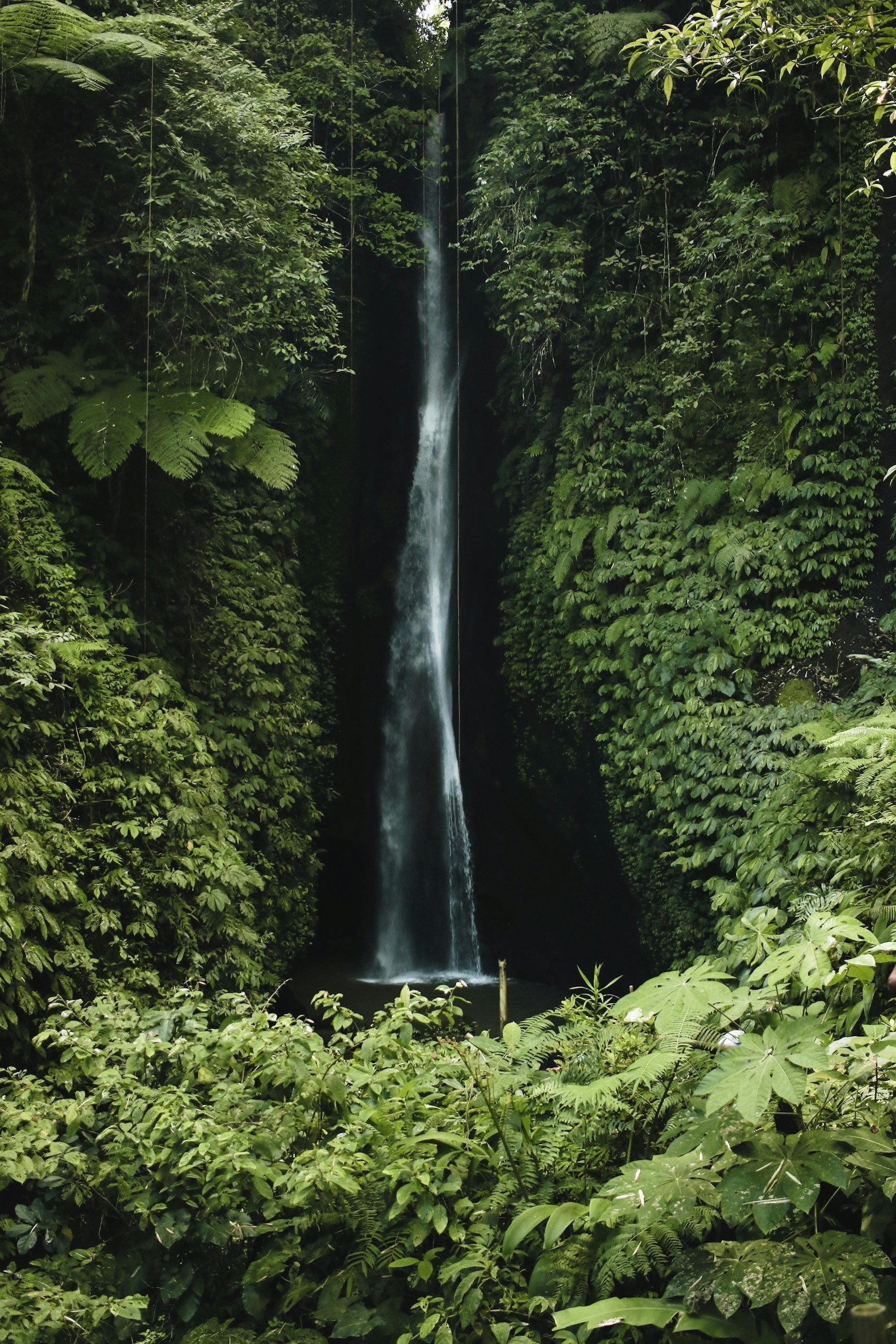 unsplash-image-ZfdwcbRyxHk.jpg