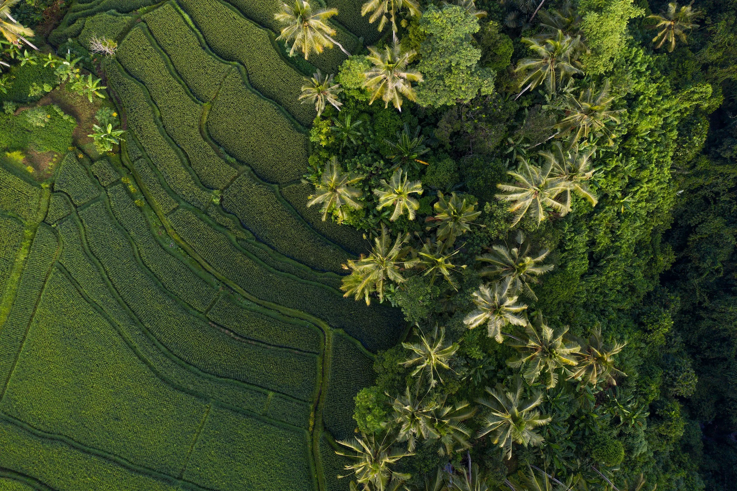 unsplash-image-SsqqO1COB18.jpg