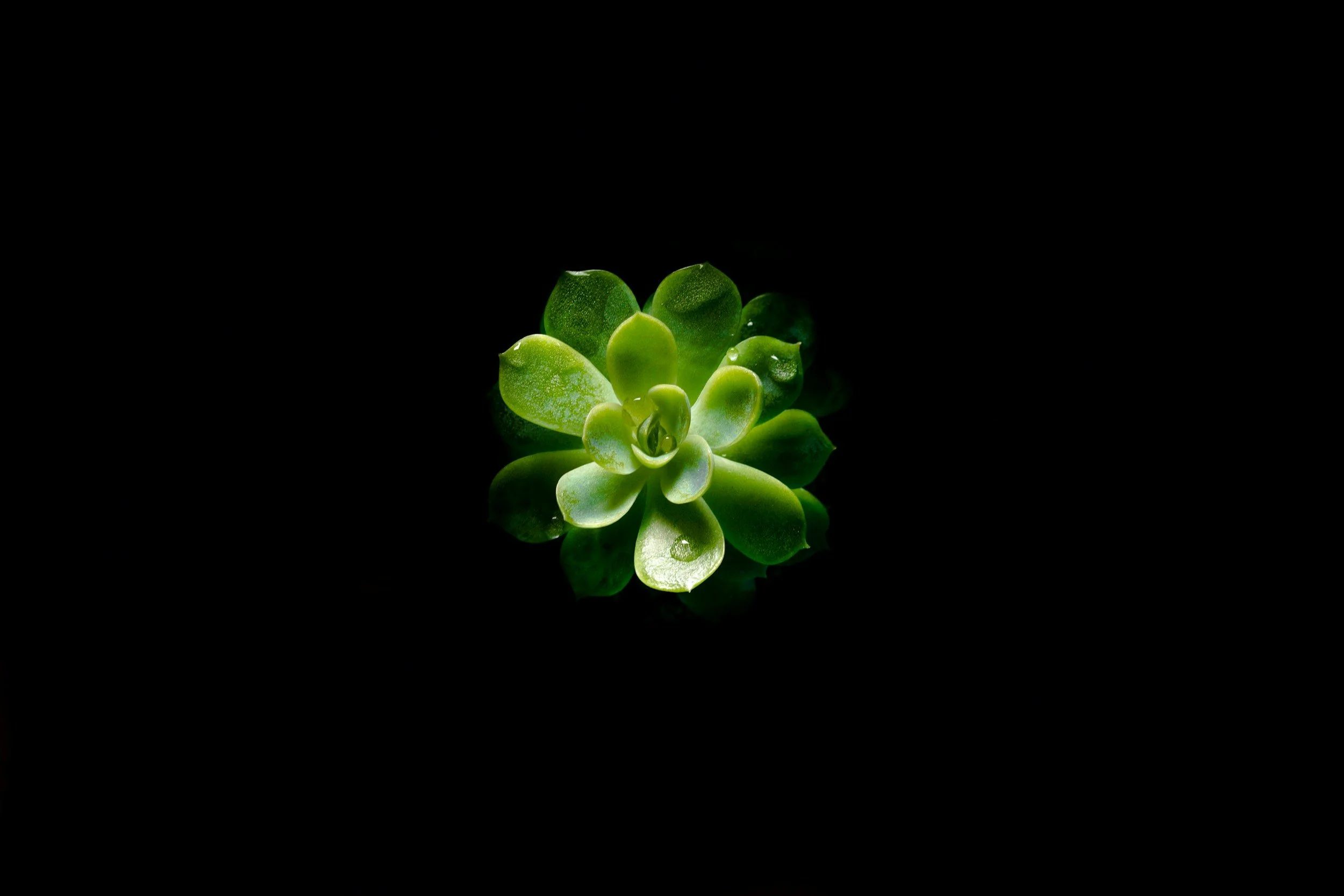 unsplash-image-CIyDU5WLxxw.jpg