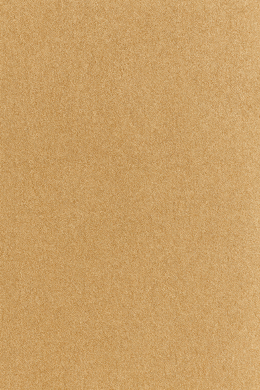 ChatGPT Image Jul 2, 2025, 11_36_51 AM.png