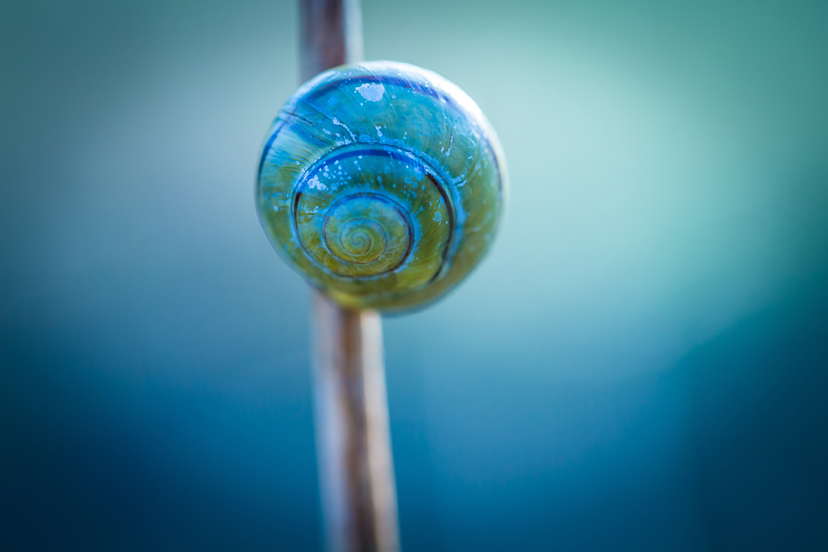 shutterstock_615404864.jpg