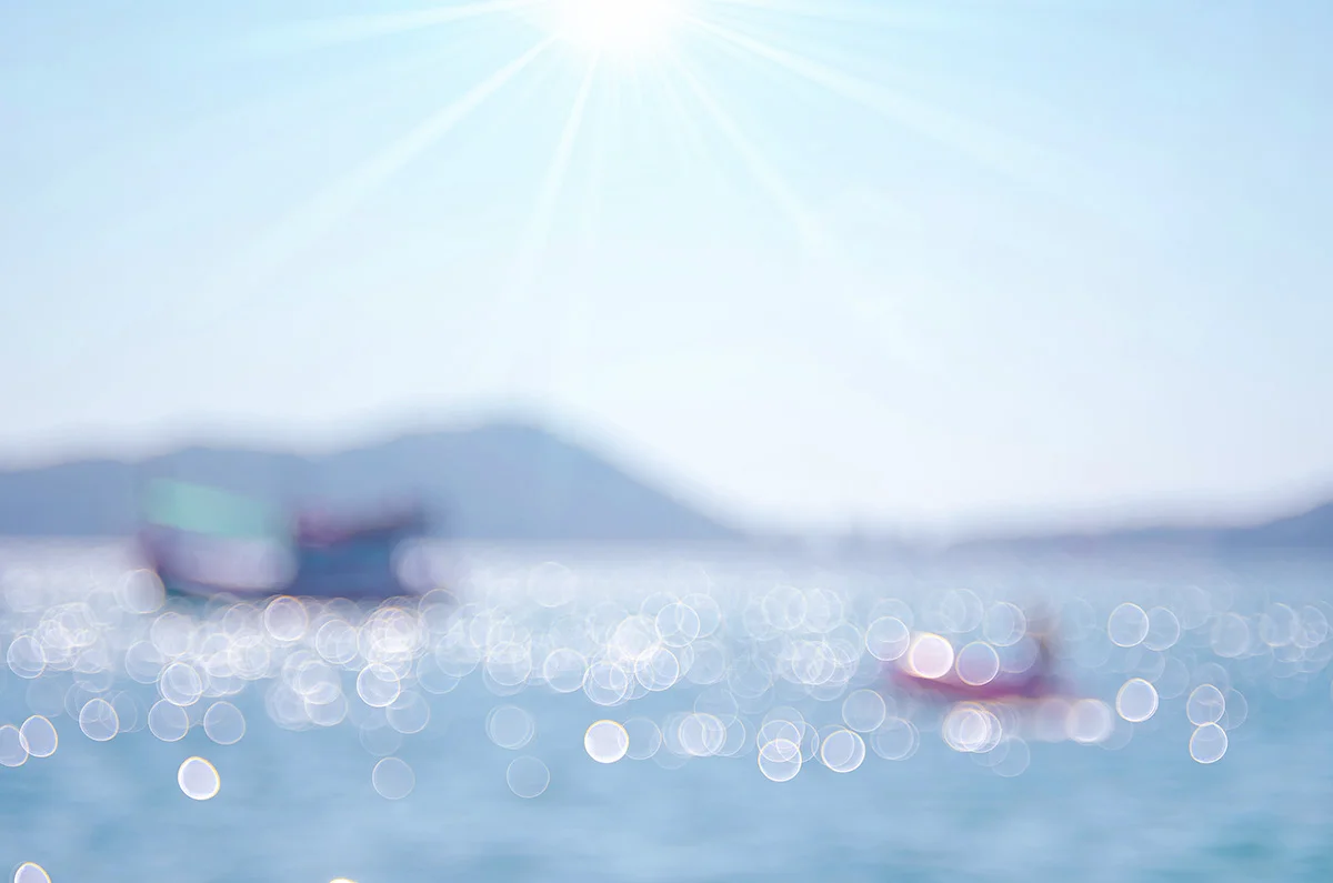 shutterstock_530363017.jpg