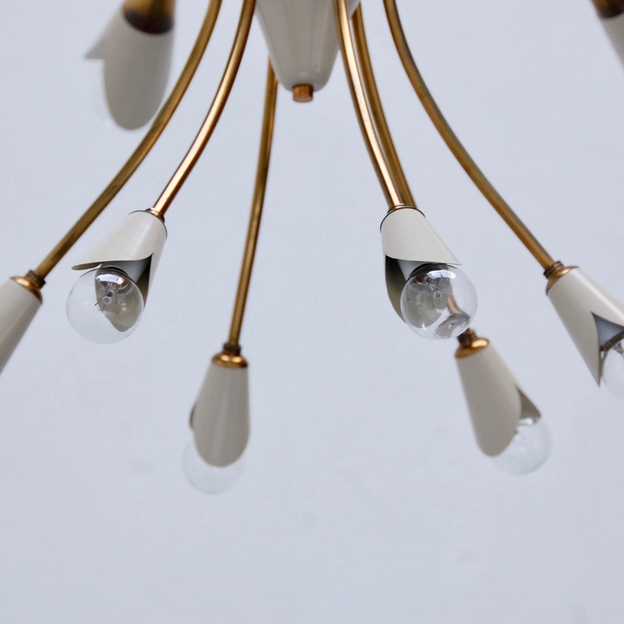 ItalianBotanicalChandelier9.jpg