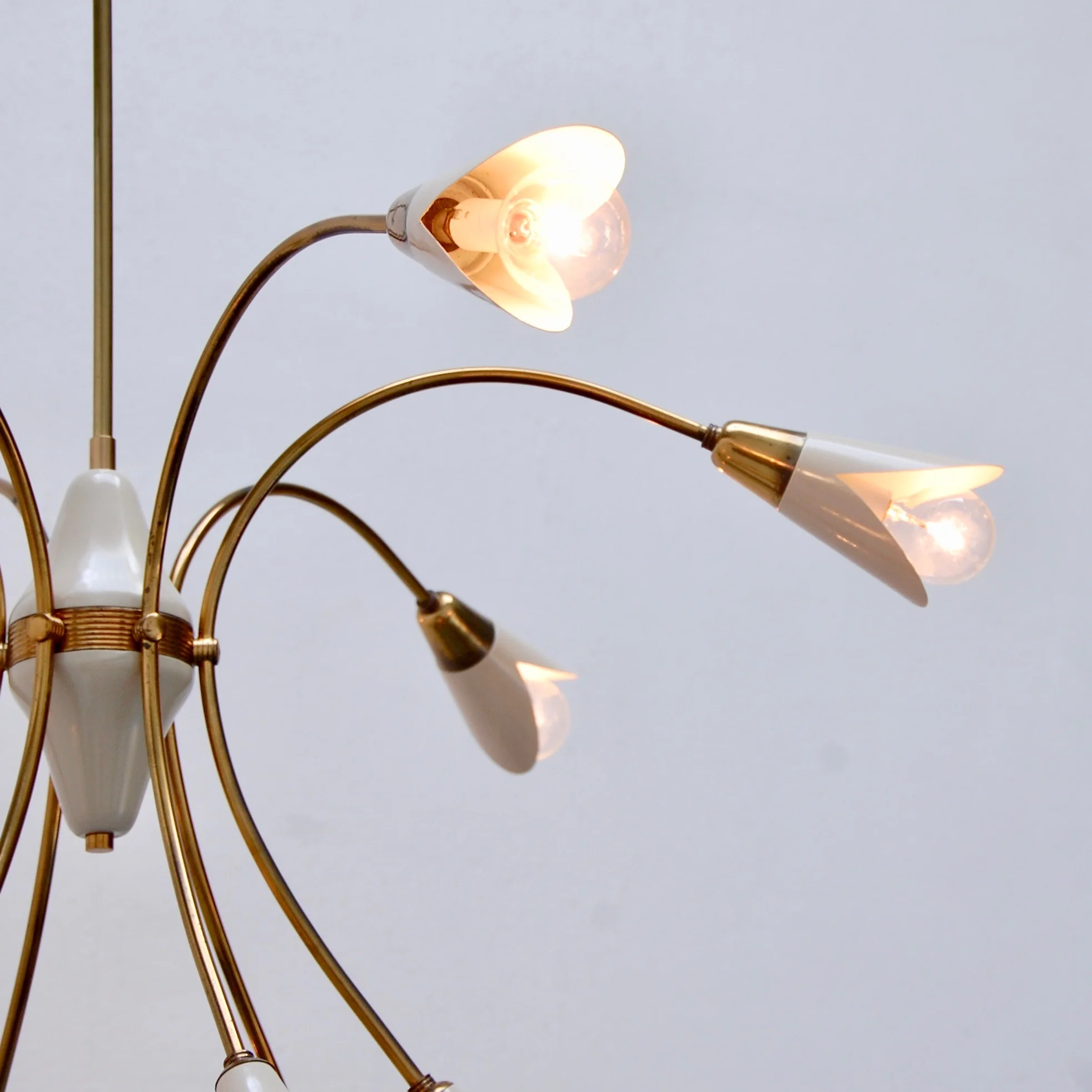 ItalianBotanicalChandelier11.jpg