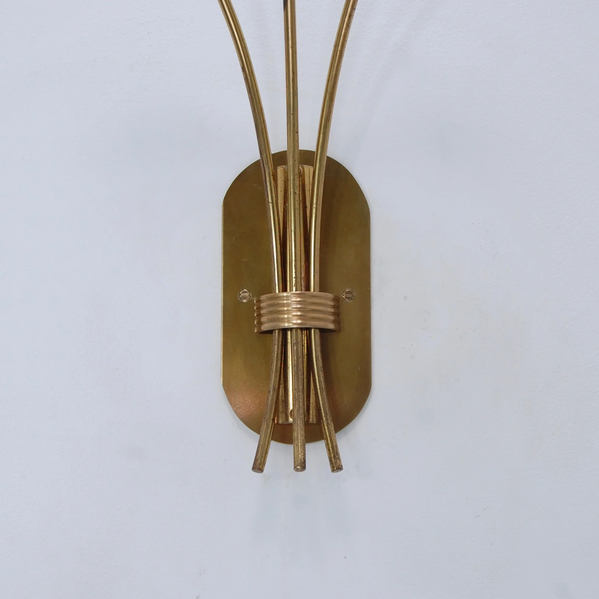 LargeBotanicalSconces8.jpg