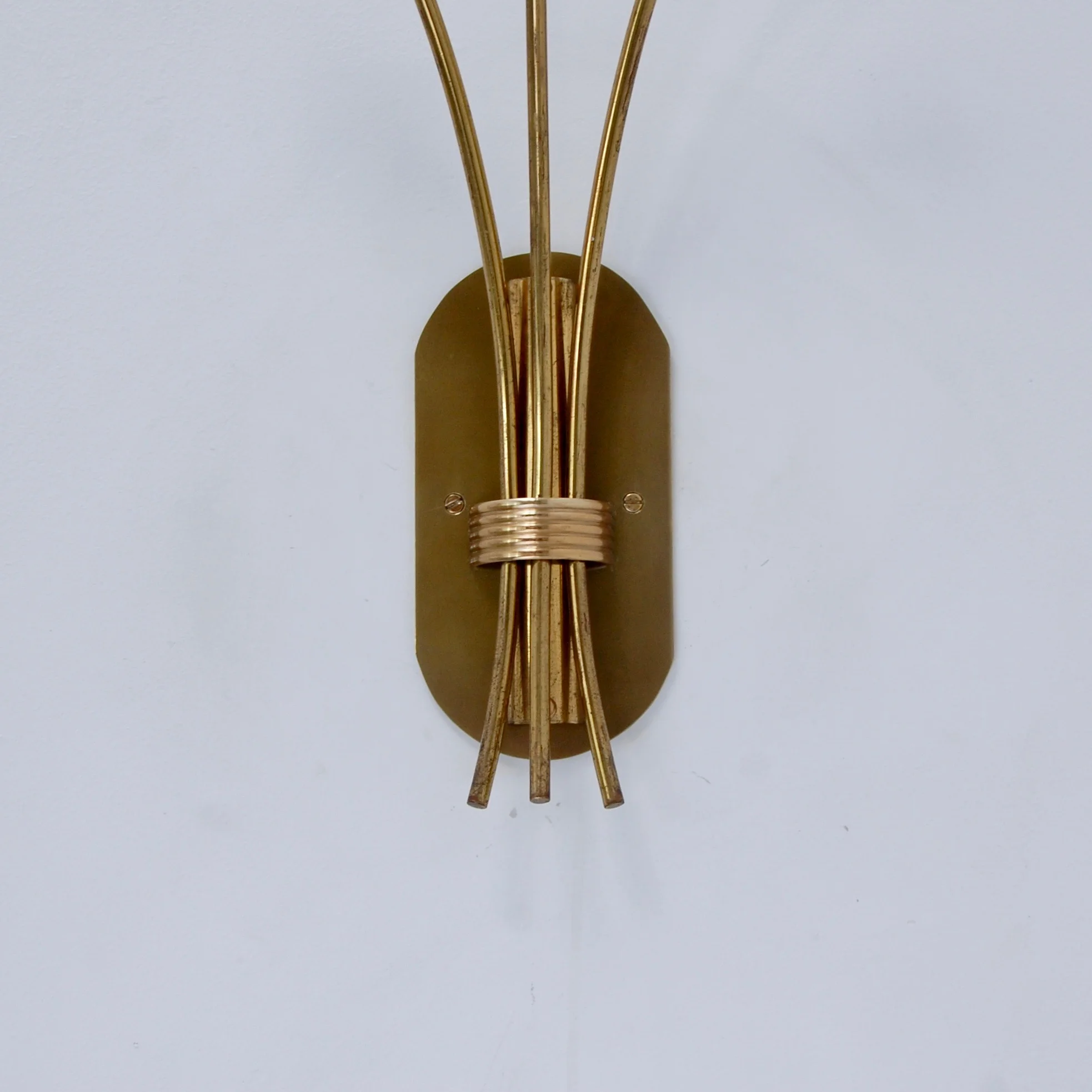 LargeBotanicalSconces9.jpg