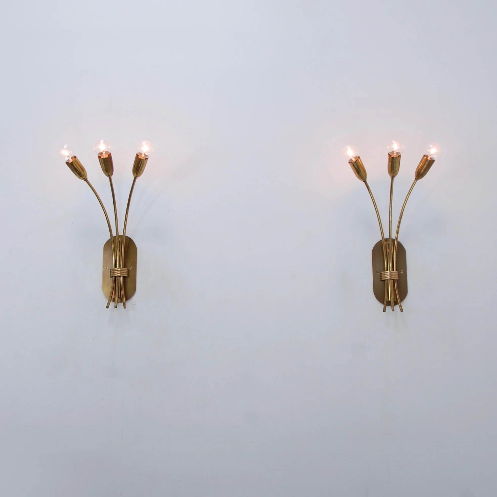 LargeBotanicalSconces13.jpg