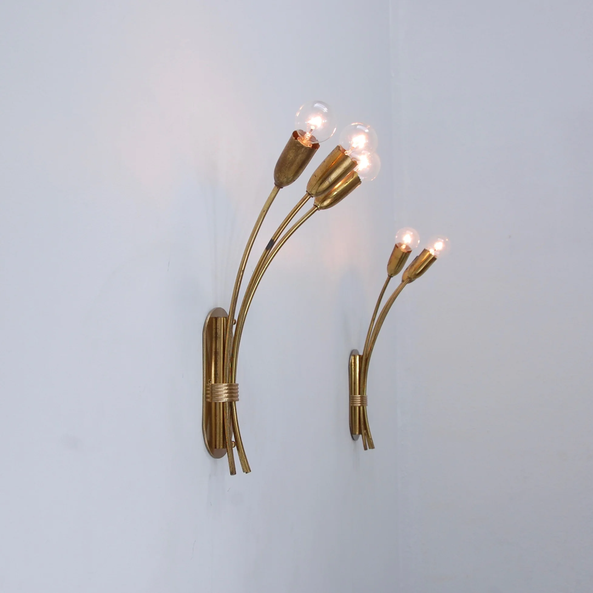 LargeBotanicalSconces19.jpg