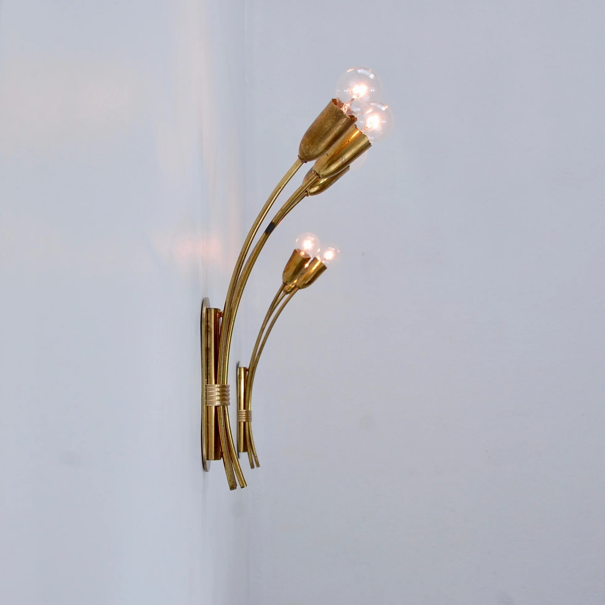 LargeBotanicalSconces20.jpg