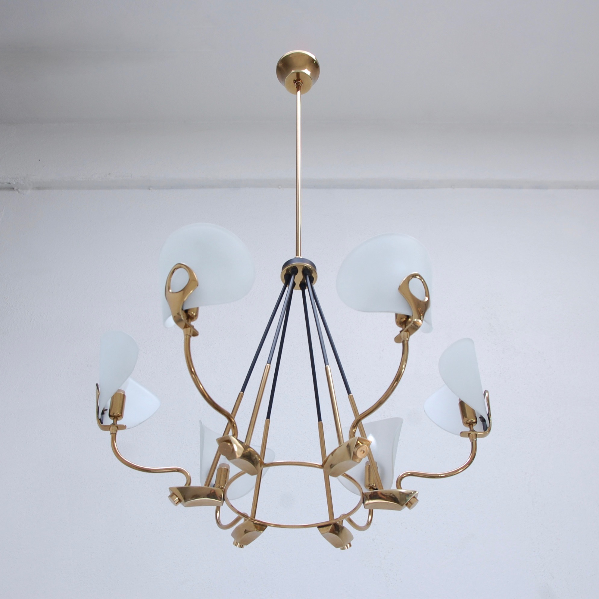 SixLightOrganicChandelier3.jpeg