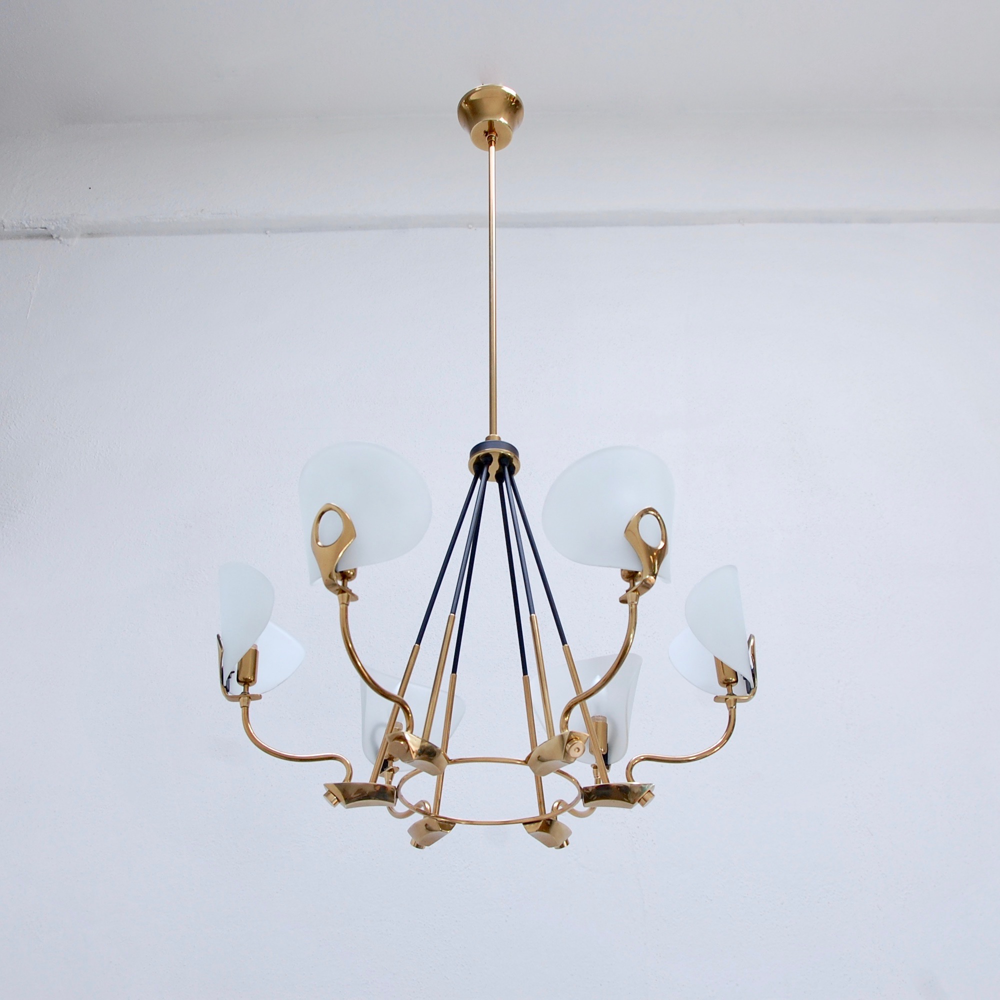 SixLightOrganicChandelier2.jpeg