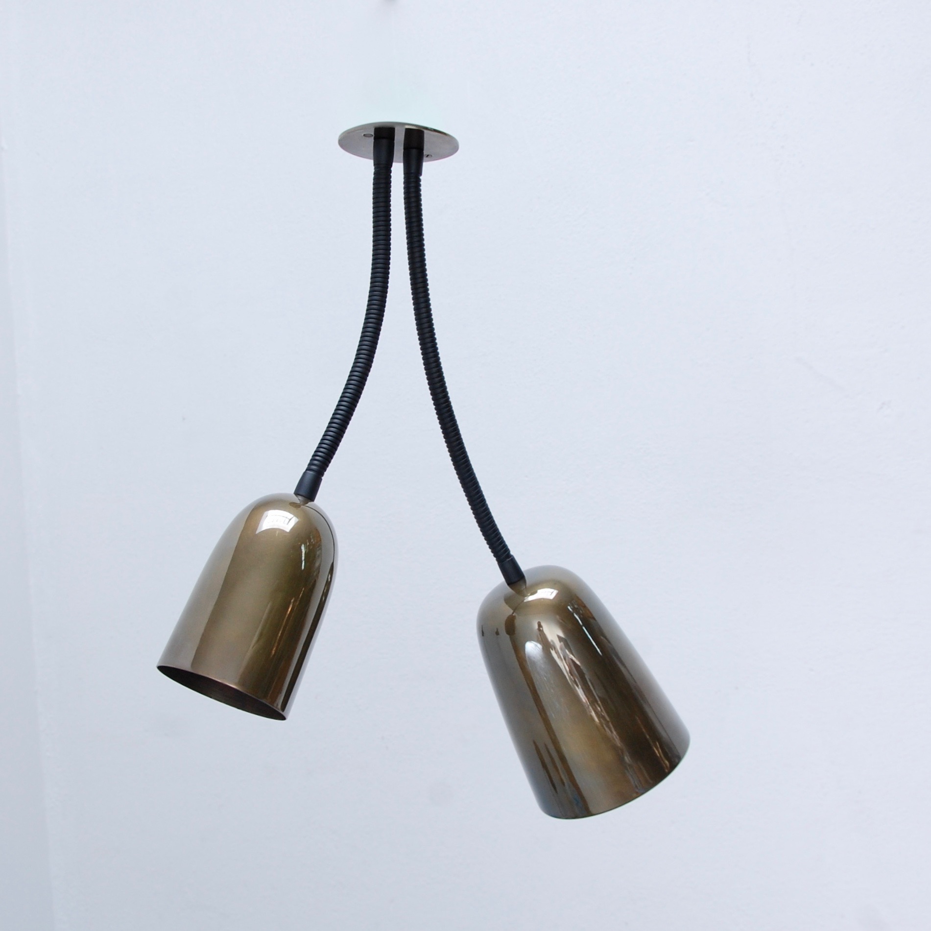 DoubleConeCeilingGooseneck4.jpeg